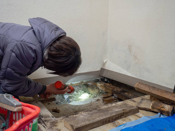 Best Water Damage & Mold Remediation  in Maricopa, CA