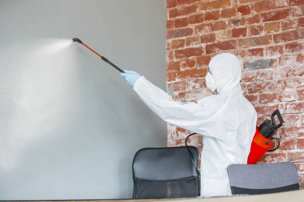 Best HVAC Mold Inspection and Cleaning  in Maricopa, CA