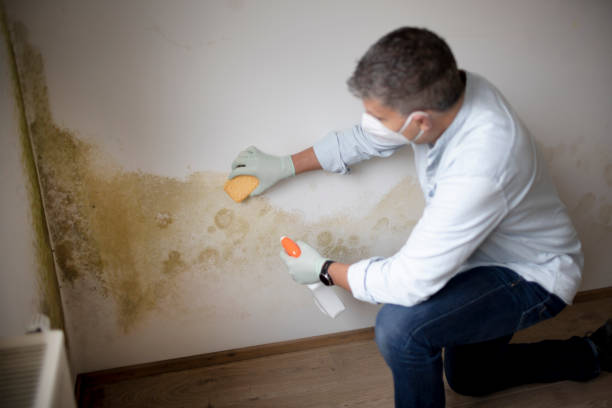 Best Indoor Air Quality Assessment  in Maricopa, CA