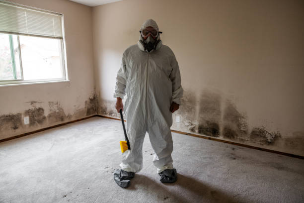 Best Airborne Mold Testing  in Maricopa, CA